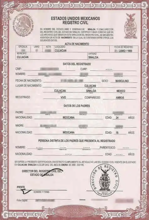 New Mexico Birth Certificate SLS